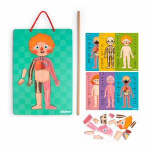 Mideer znanstveni set Moje tijelo - Slika 2