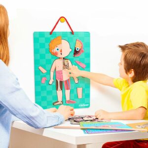 Mideer znanstveni set Moje tijelo - Slika 6